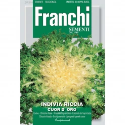 Franchi Sementi Endive Curley Cour D’oro Seeds Garden